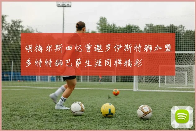 胡梅尔斯回忆曾邀罗伊斯特狮加盟多特特狮巴萨生涯同样精彩